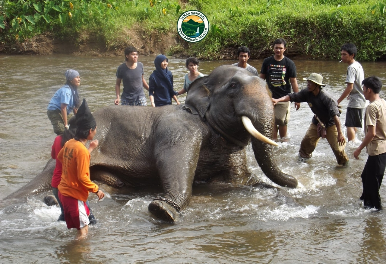 Mendorong Ekowisata Berkelanjutan