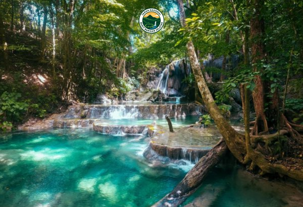 Mengenal Taman Nasional