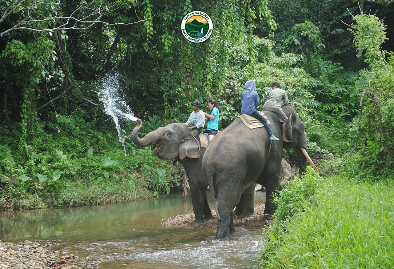 Menjaga Habitat Satwa Liar